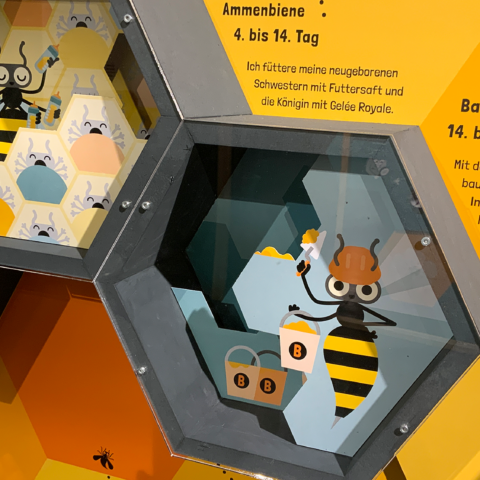 Eine Biene fliegt unterm Dach